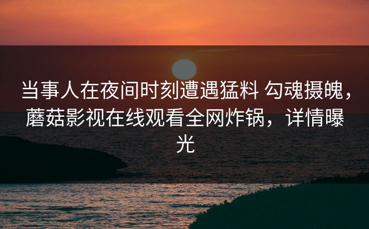 当事人在夜间时刻遭遇猛料 勾魂摄魄，蘑菇影视在线观看全网炸锅，详情曝光