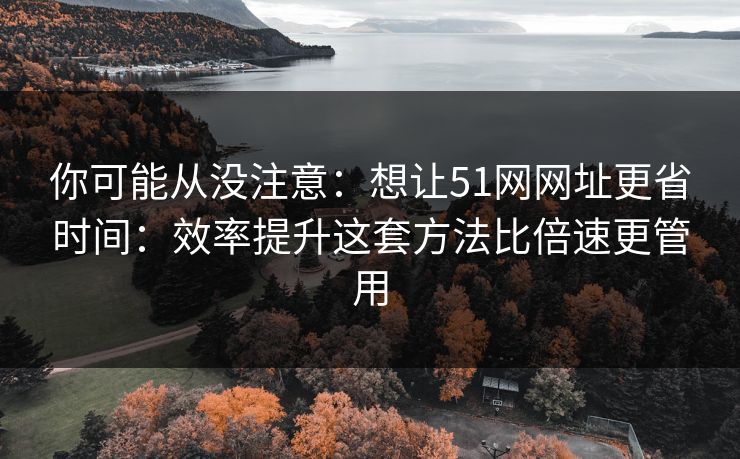 你可能从没注意：想让51网网址更省时间：效率提升这套方法比倍速更管用